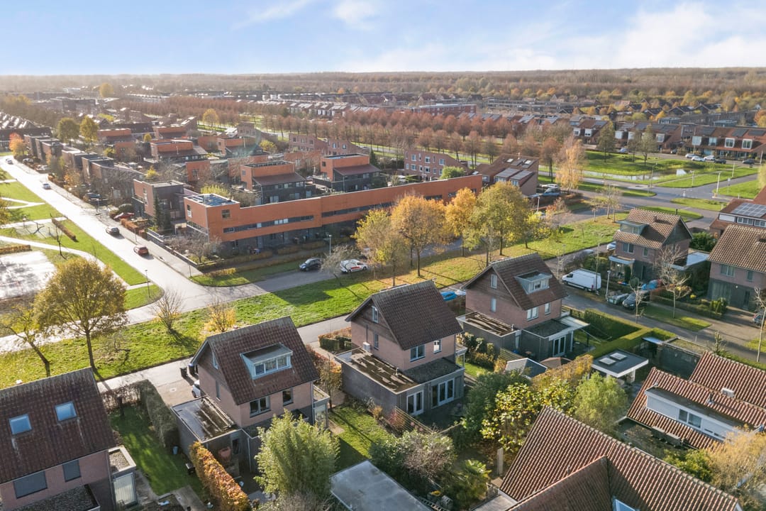 Photo 62 of Duizendknoop 3