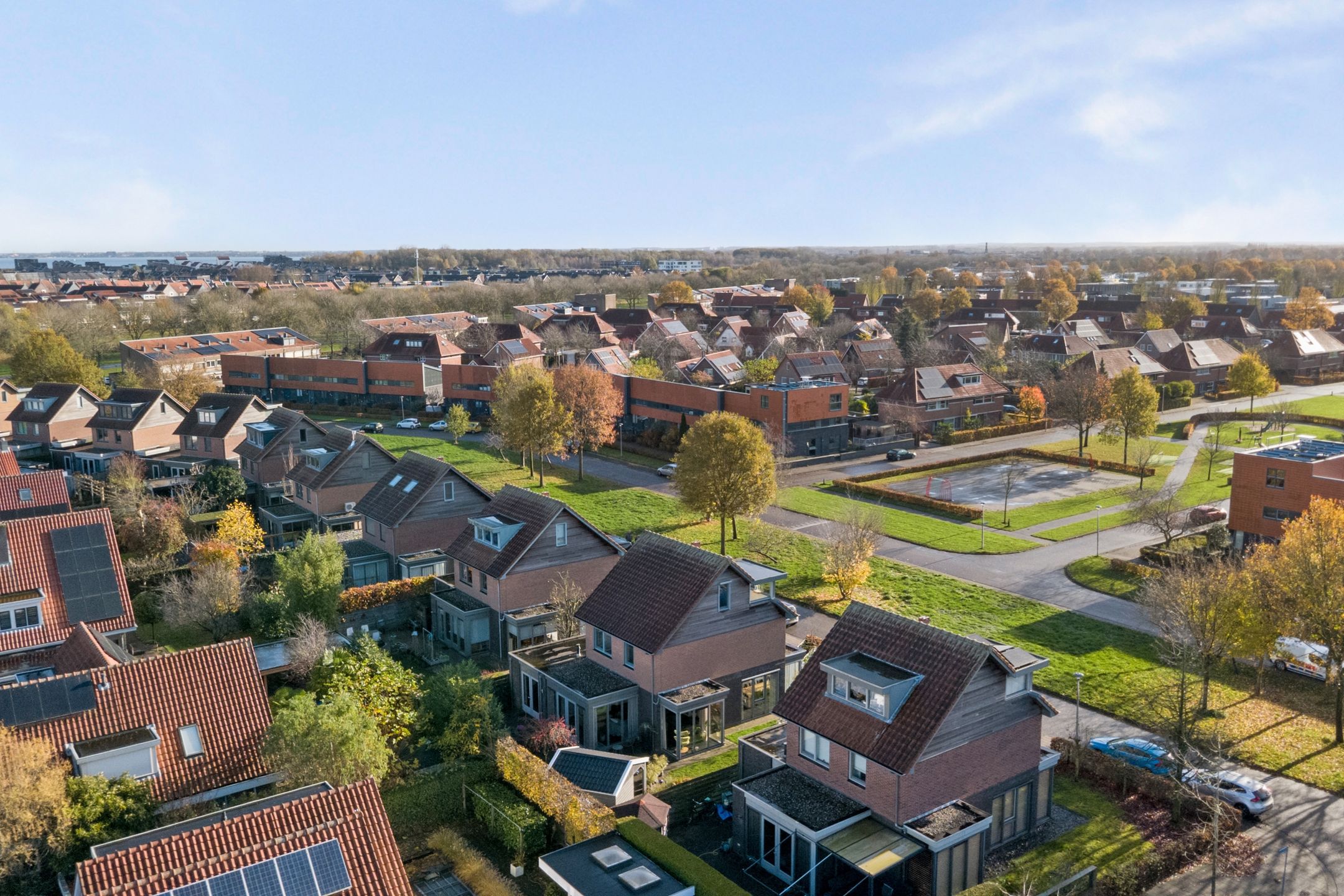 Photo 63 of Duizendknoop 3