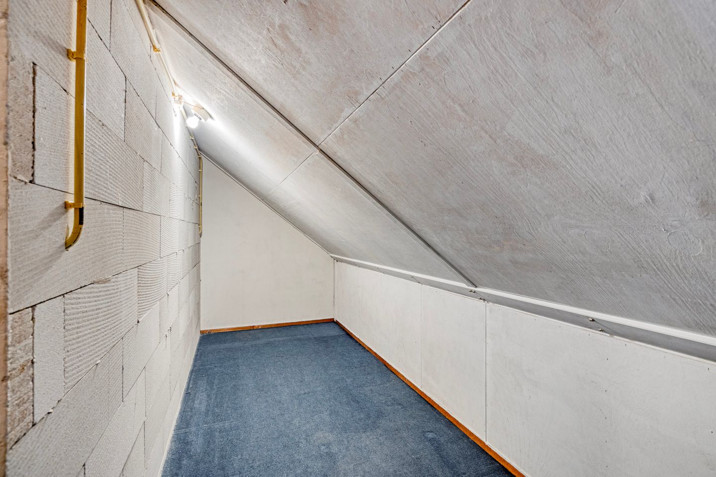 Foto 25 van Cerberusstraat 60