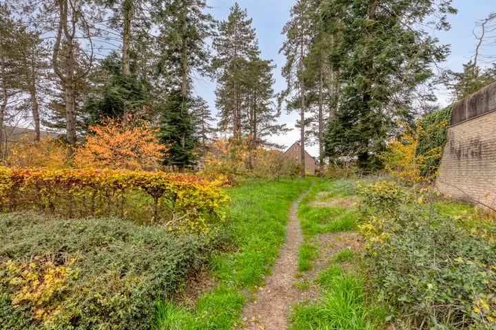 Foto 33 van Jekerstraat 49