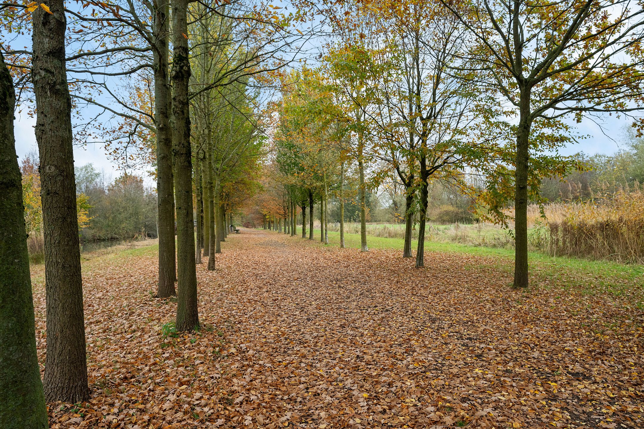 Photo 36 of Hof ter Weydeweg 3