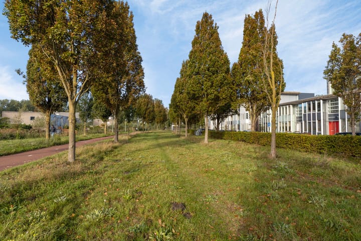 Foto 25 van Berlaarstraat 361