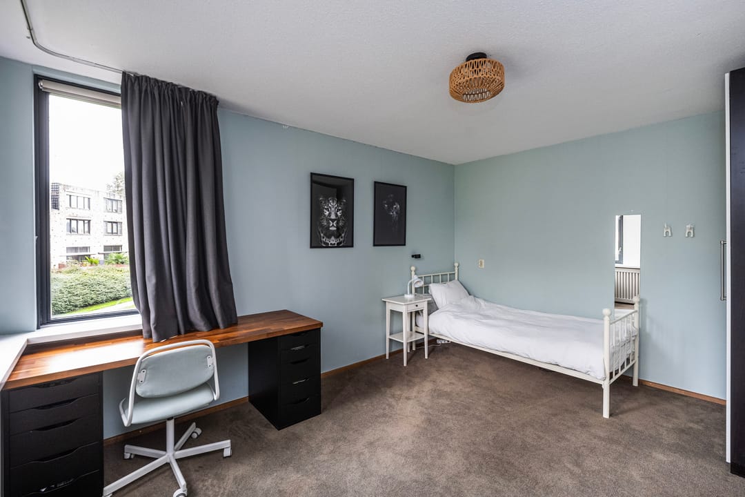 Photo 17 of Mattenbies 29