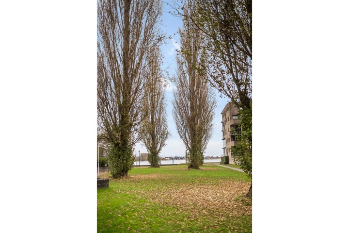 Foto 37 van Mattenbies 29