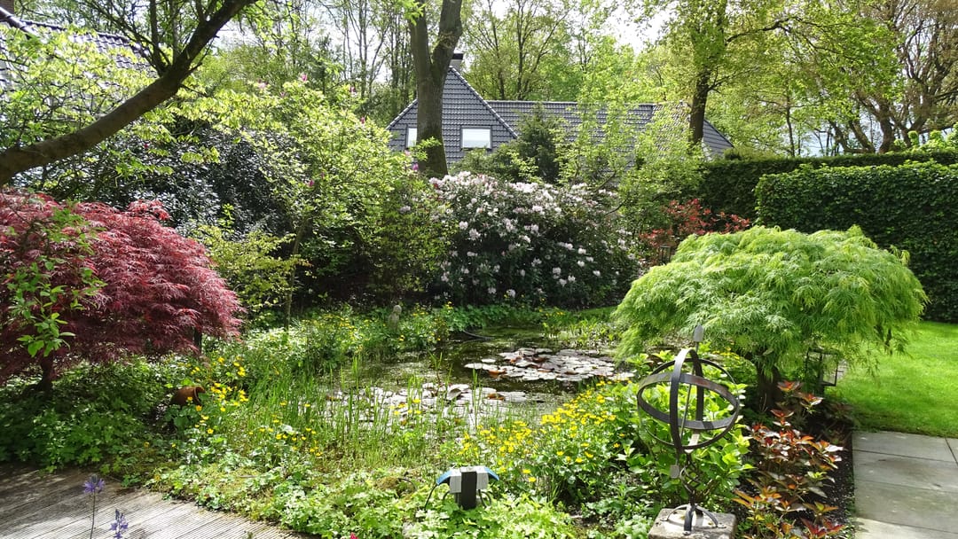 Foto 46 van Park Broekheurne 9