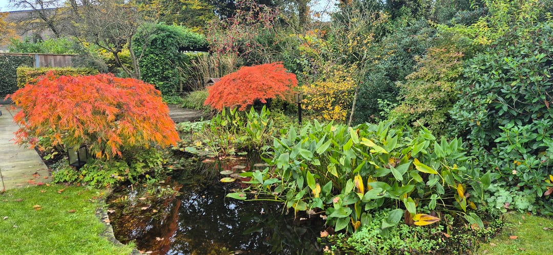 Foto 47 van Park Broekheurne 9