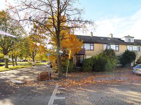 Frans Halsstraat thumbnail