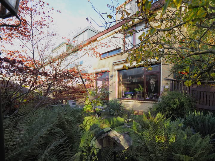 Foto 5 van Frans Halsstraat 76