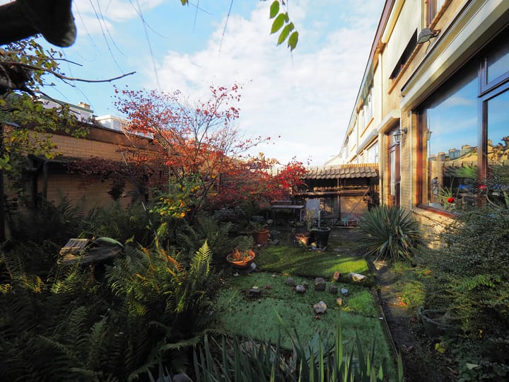 Foto 6 van Frans Halsstraat 76