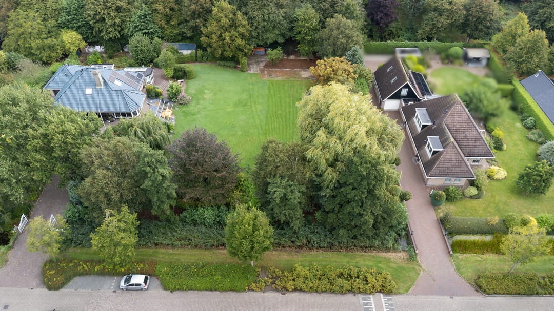 Foto 8 van Houtduif 1-A