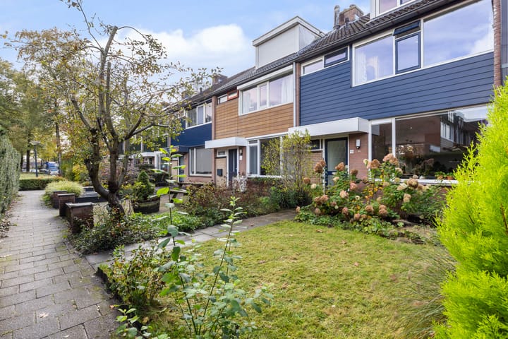 Foto 35 van Schoutenveld 723