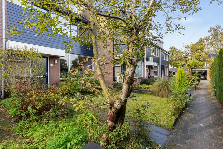 Foto 38 van Schoutenveld 723