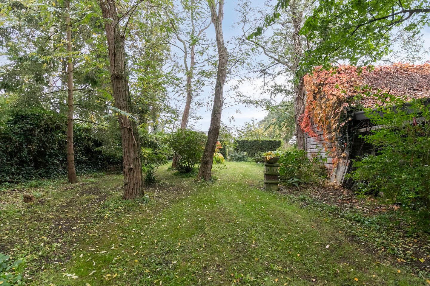 Foto 80 van Aijenseweg 9