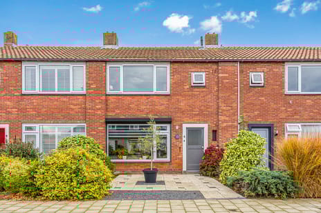 undefined main image