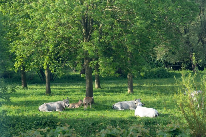 Foto 41 van Jelle Posthumapad 97