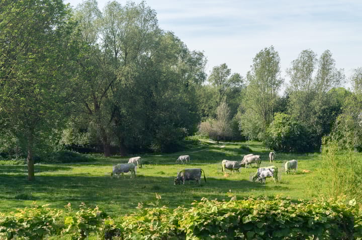 Foto 42 van Jelle Posthumapad 97