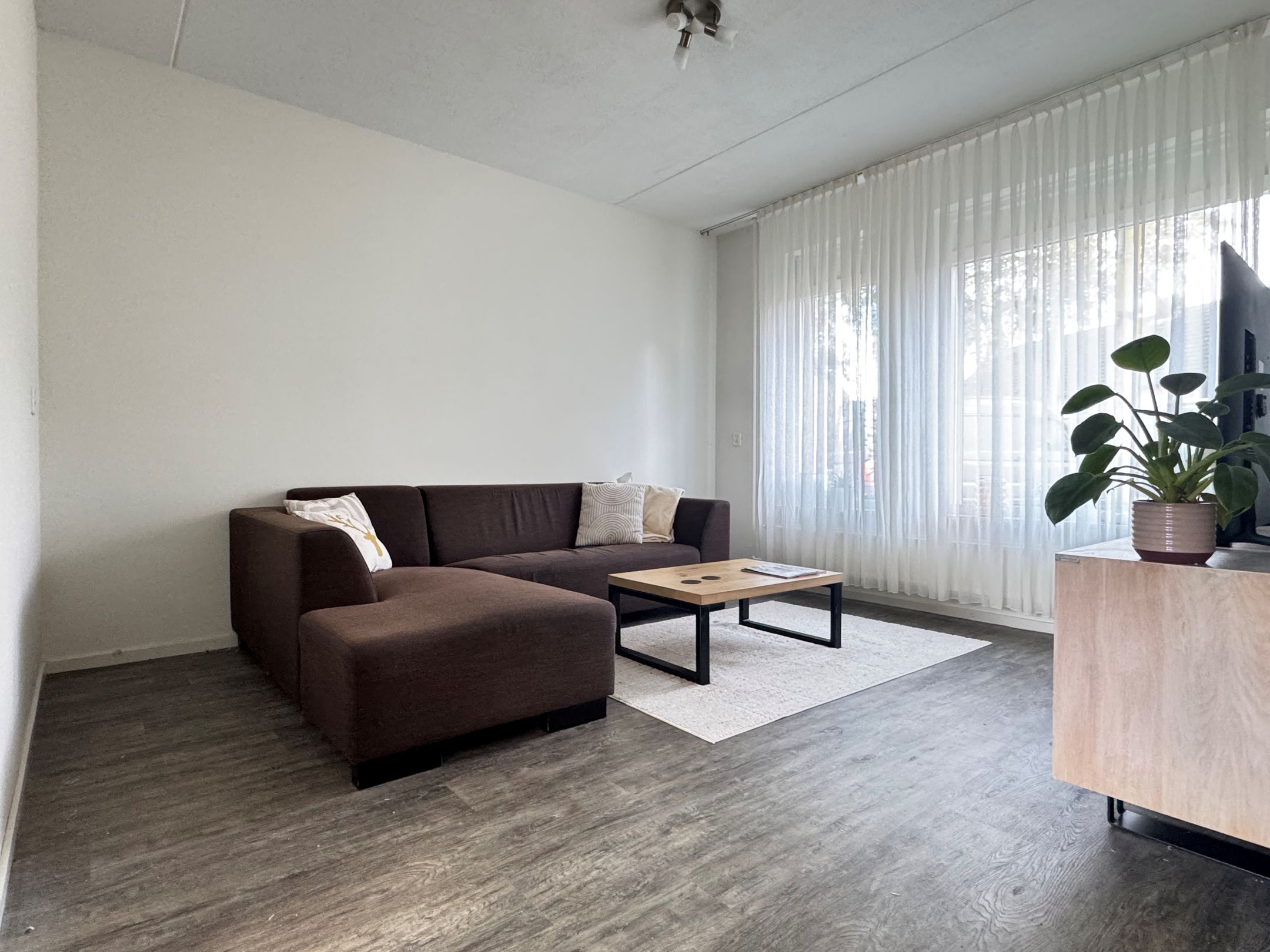 Photo 6 of Distel 30