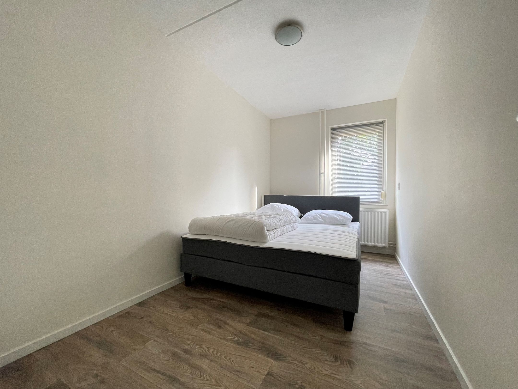 Photo 12 of Distel 30