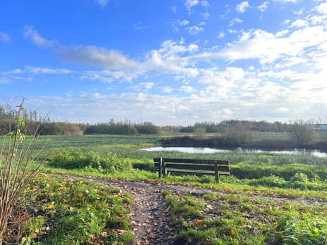 Distel 30 secondary image