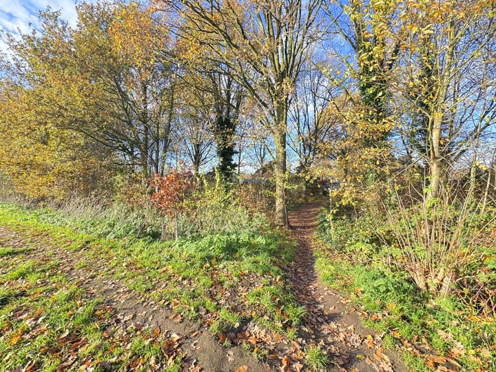 Photo 25 of Distel 30