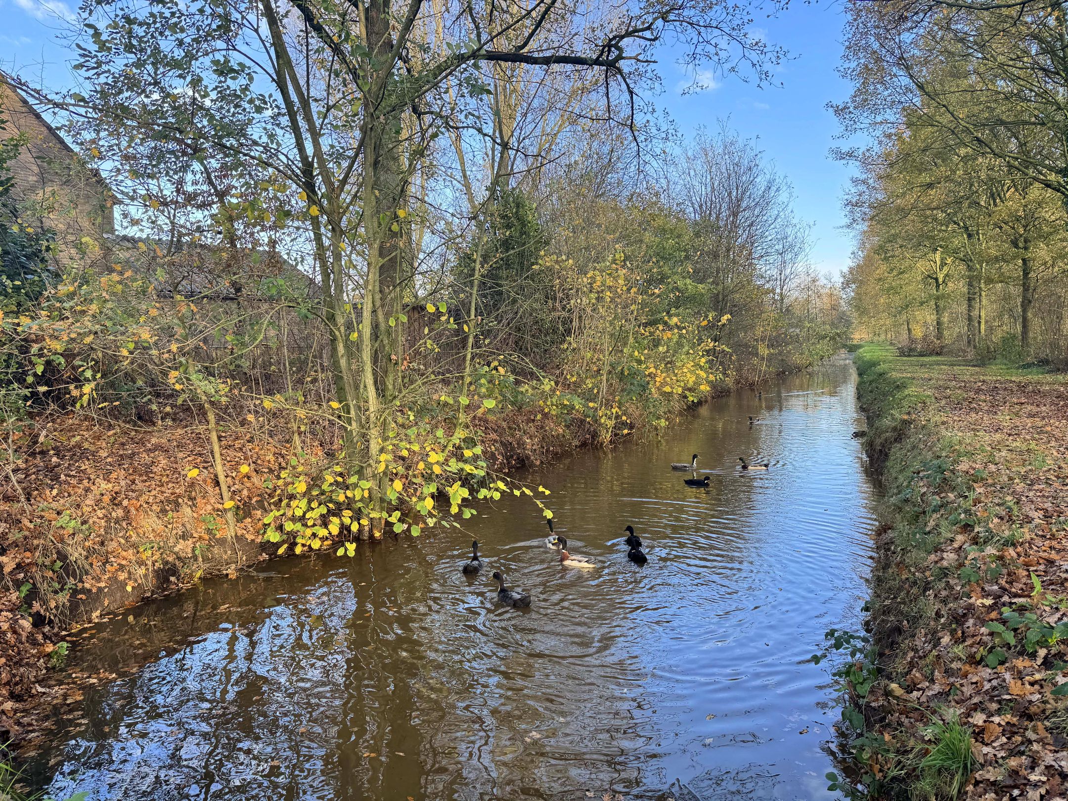 Photo 24 of Distel 30