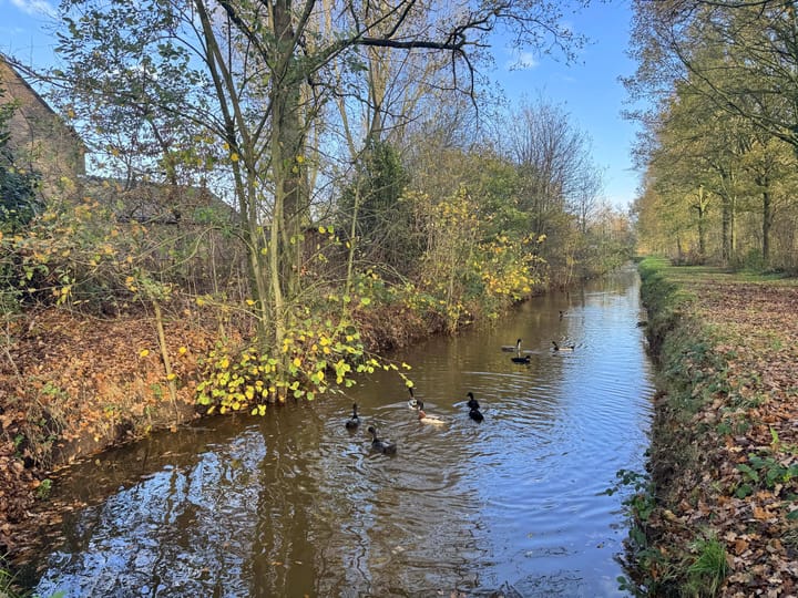 Photo 24 of Distel 30