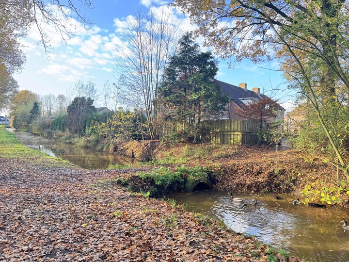 Photo 23 of Distel 30