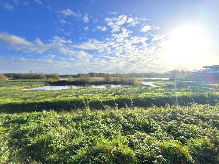 Photo 27 of Distel 30