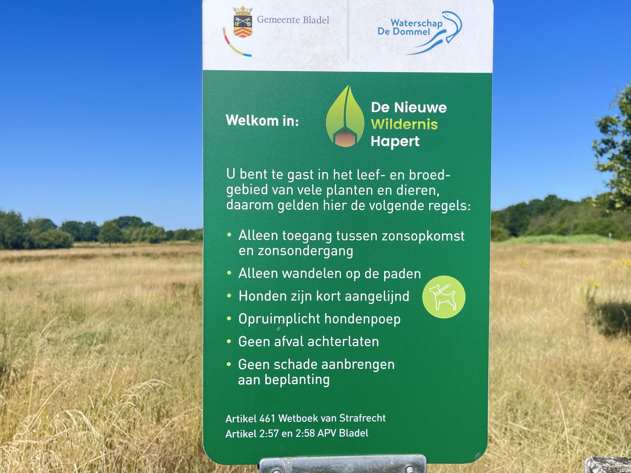 Photo 21 of Distel 30