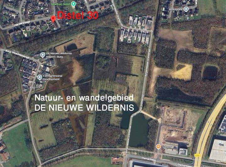 Photo 20 of Distel 30