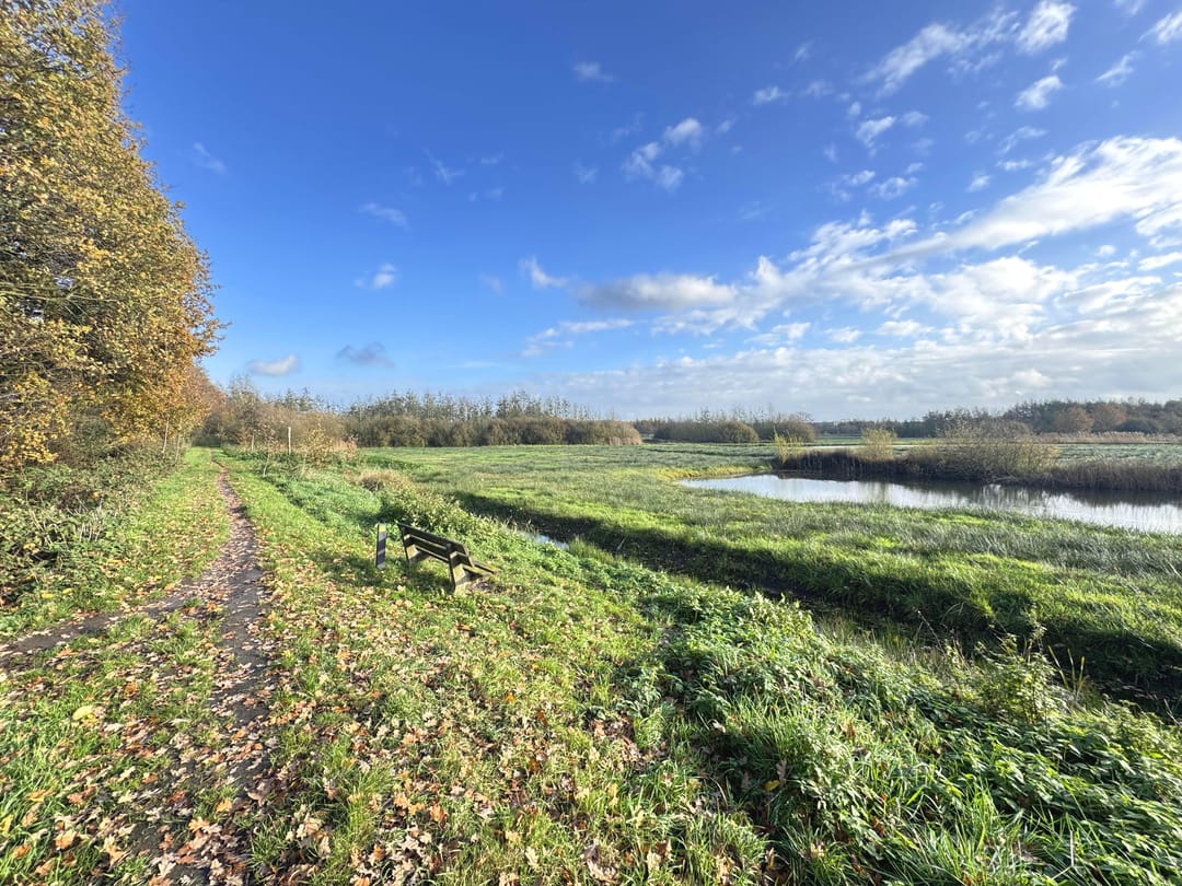 Photo 26 of Distel 30