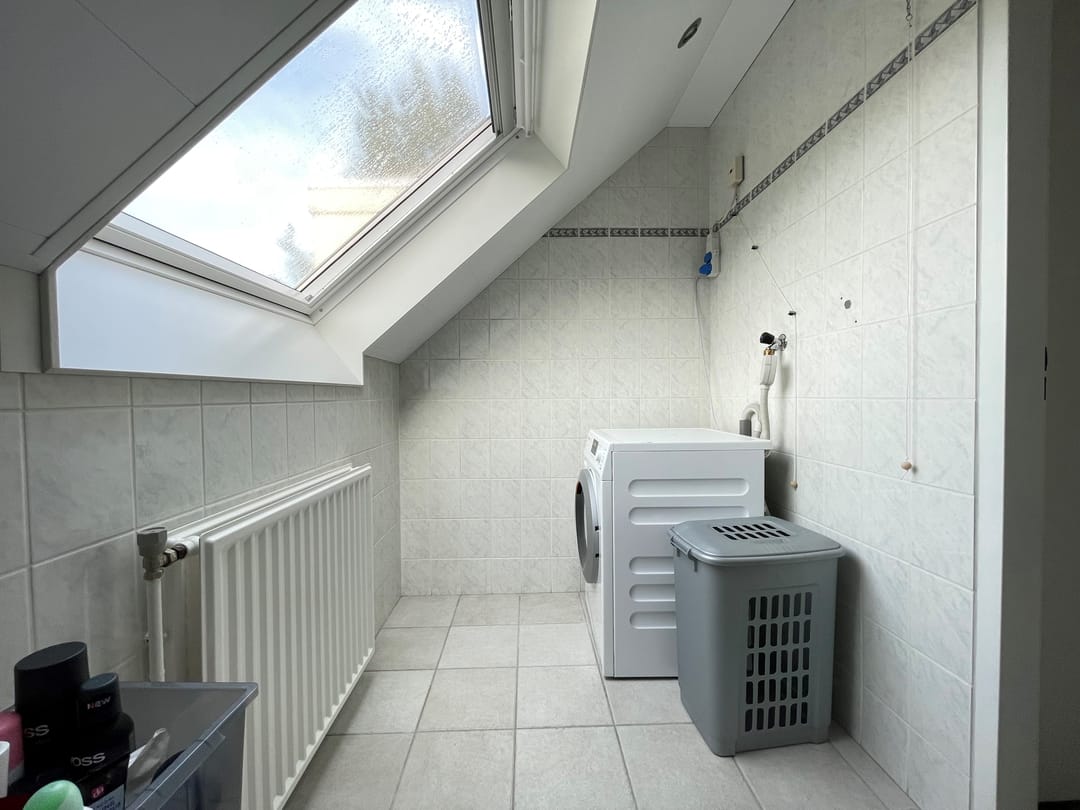 Photo 11 of Distel 30