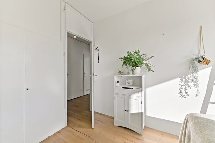 Photo 18 of Albertine Agneslaan 370