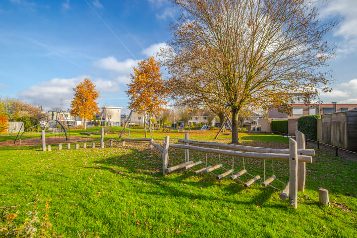 Photo 10 of Jonagold 42