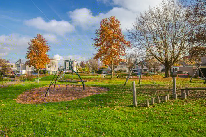 Photo 52 of Jonagold 42