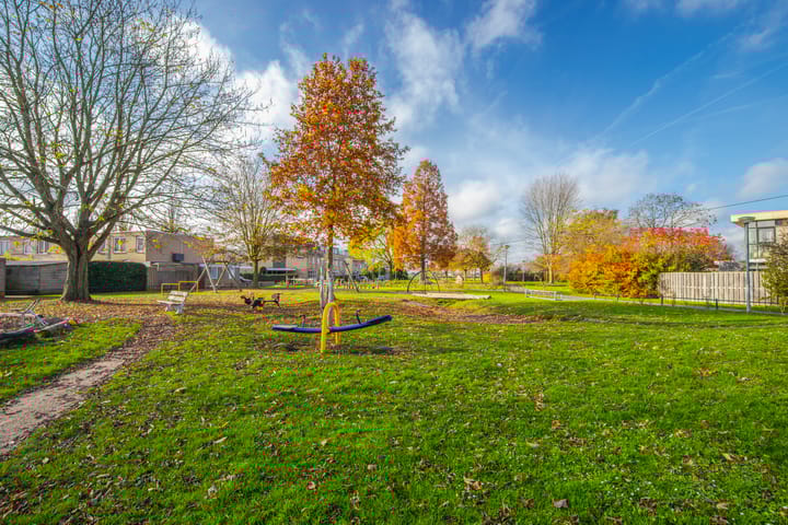 Photo 53 of Jonagold 42