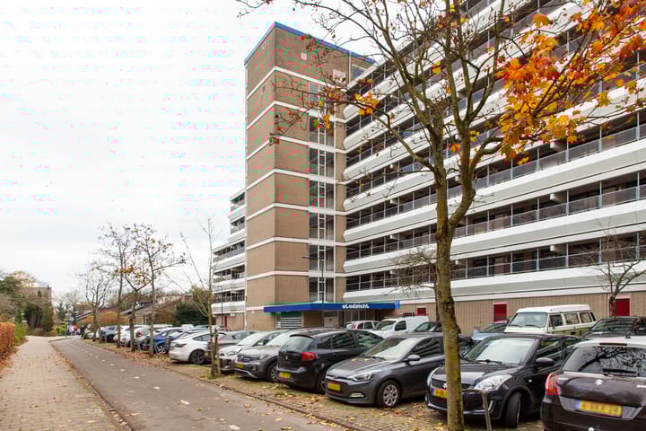 Photo 22 of Stadzicht 61