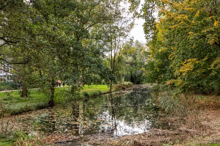 Photo 25 of Stadzicht 61