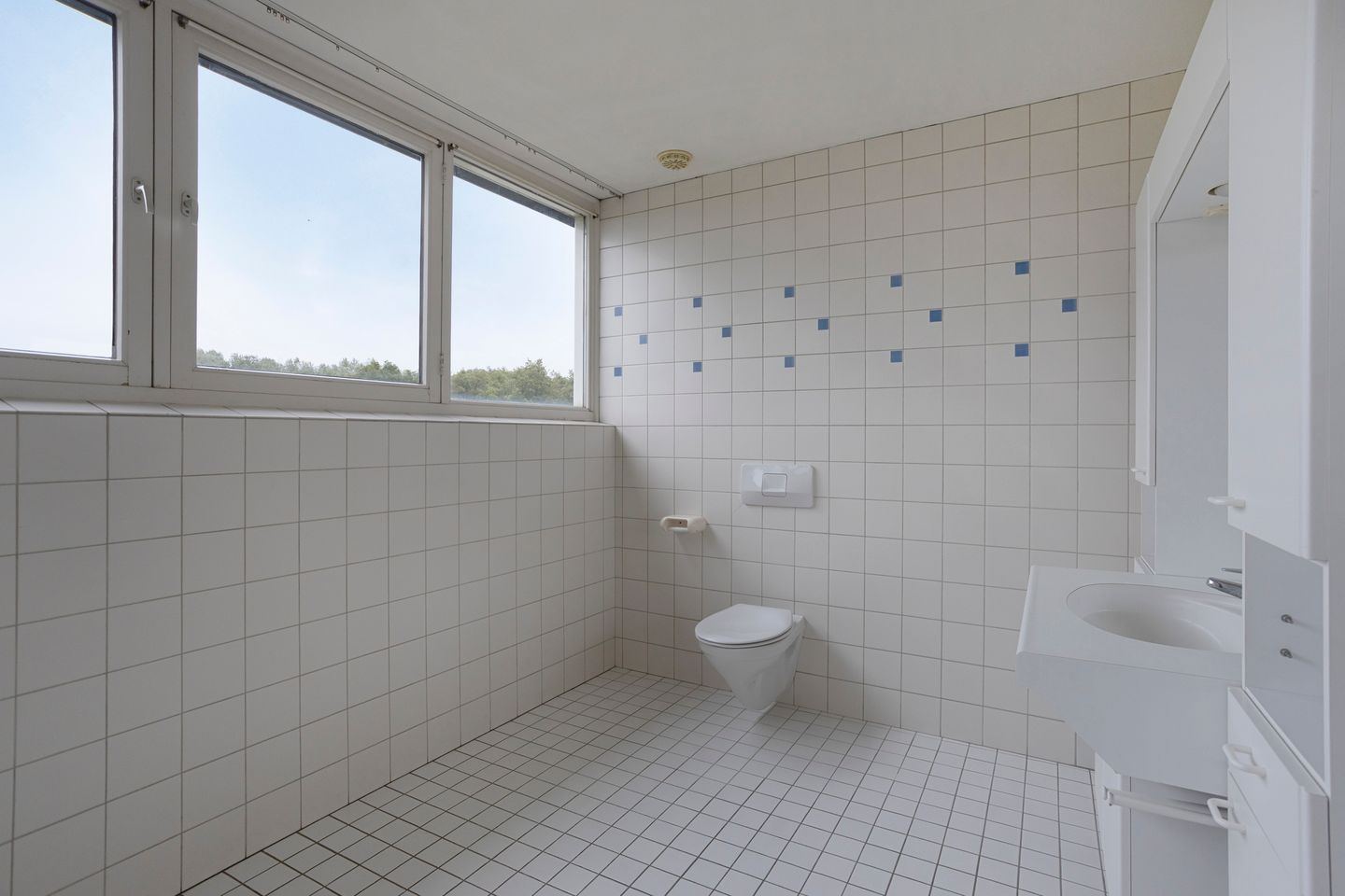 Foto 34 van Schepengraaf 37