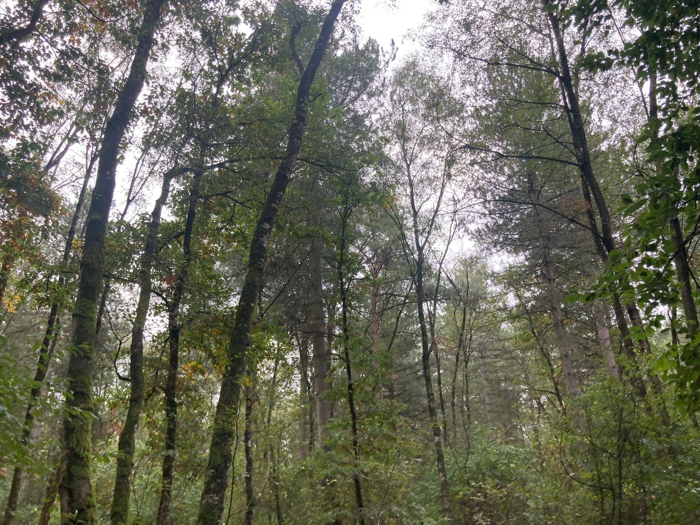 Bekijk foto 5 van Rijksweg