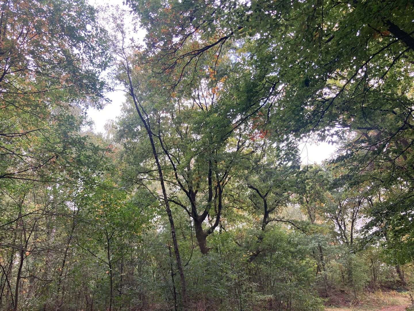 Bekijk foto 4 van Rijksweg