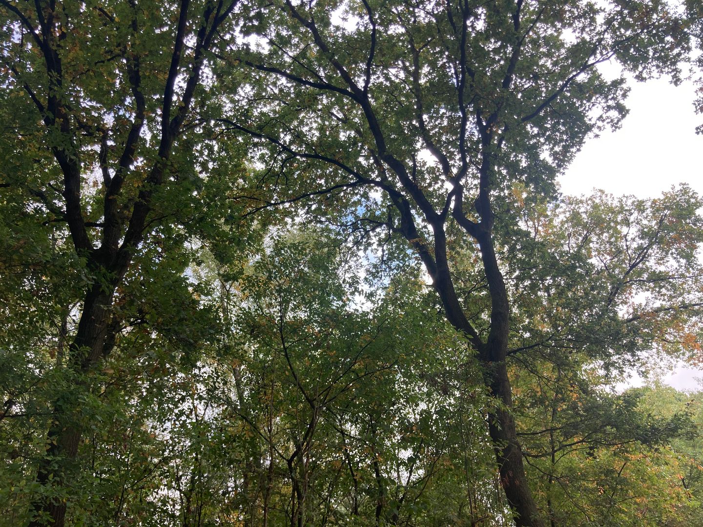 Bekijk foto 2 van Rijksweg