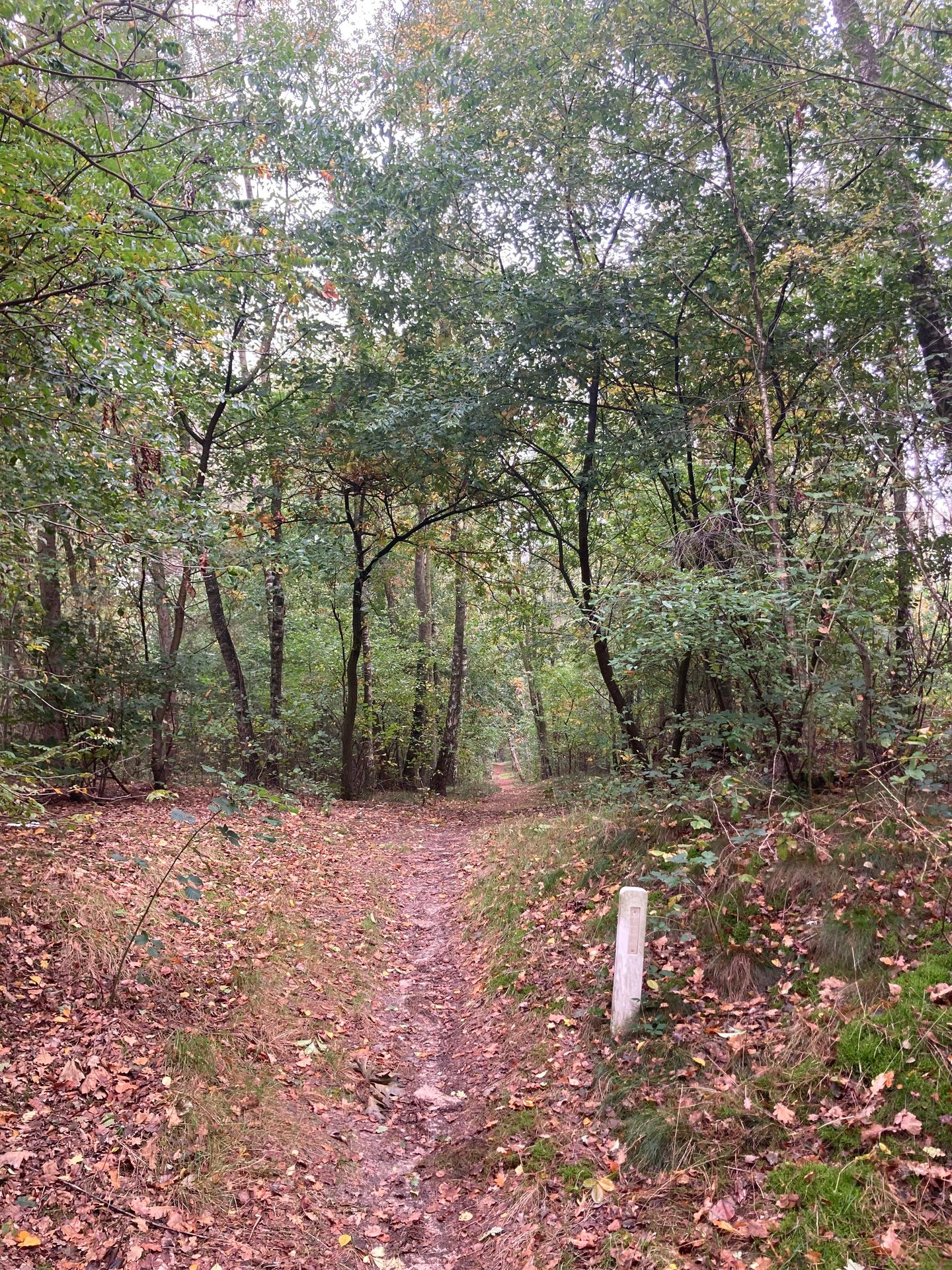 Bekijk foto 3 van Rijksweg