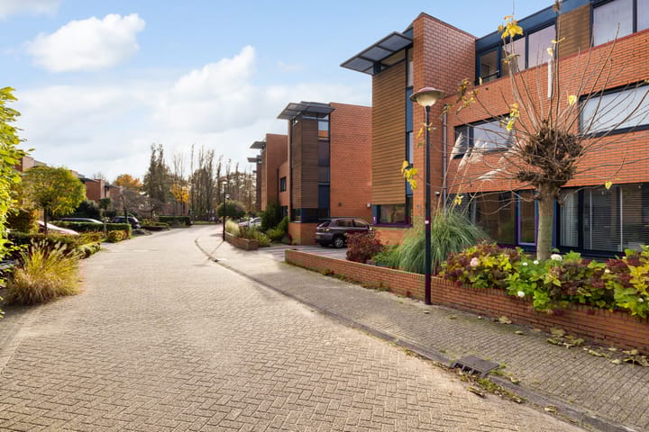 Photo 2 of Glaskruid 10