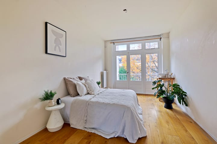 Foto 10 van Van Hallstraat 230