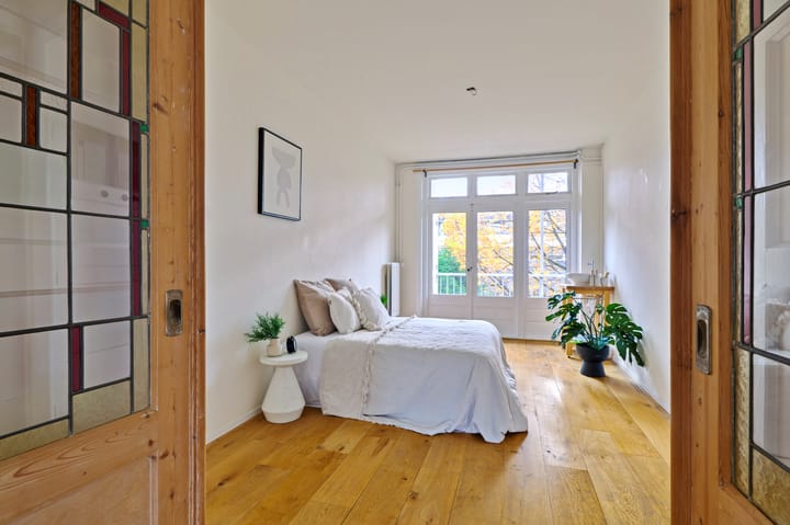 Foto 12 van Van Hallstraat 230