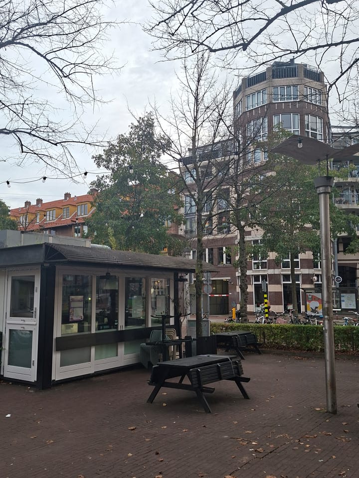 Foto 28 van Van Hallstraat 230