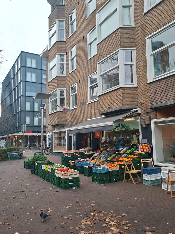 Foto 29 van Van Hallstraat 230