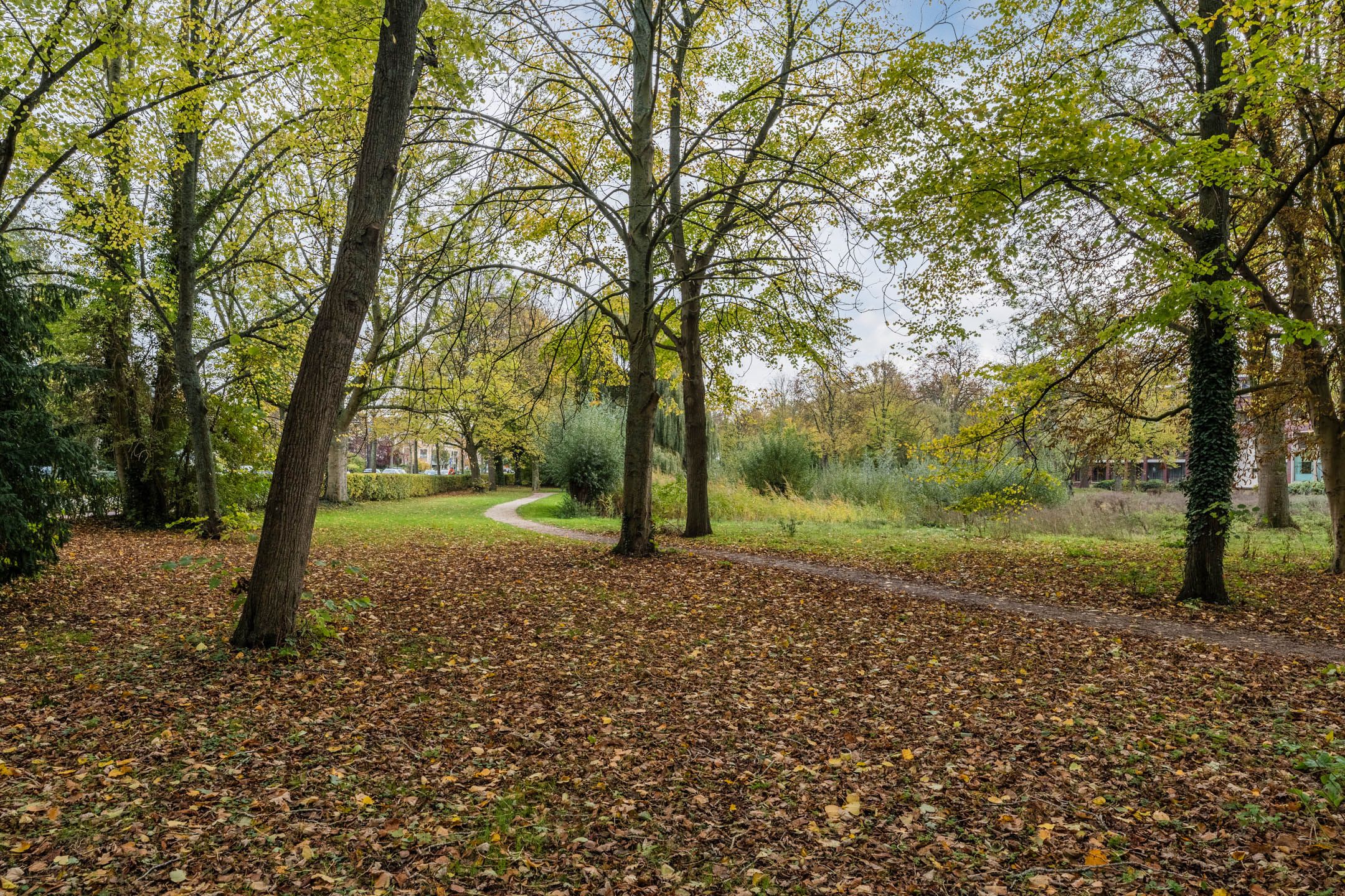 Photo 42 of Rijnsburgerweg 139