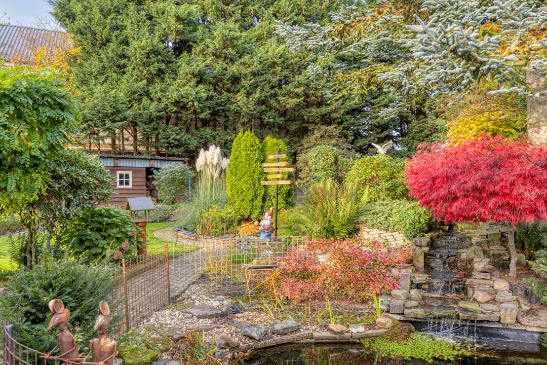 Foto 41 van Vlinkert 17